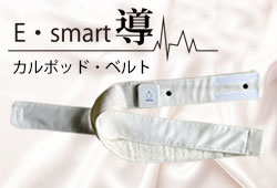 E・smart導~カルポッド・ベルト~