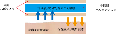 セノーテの構造